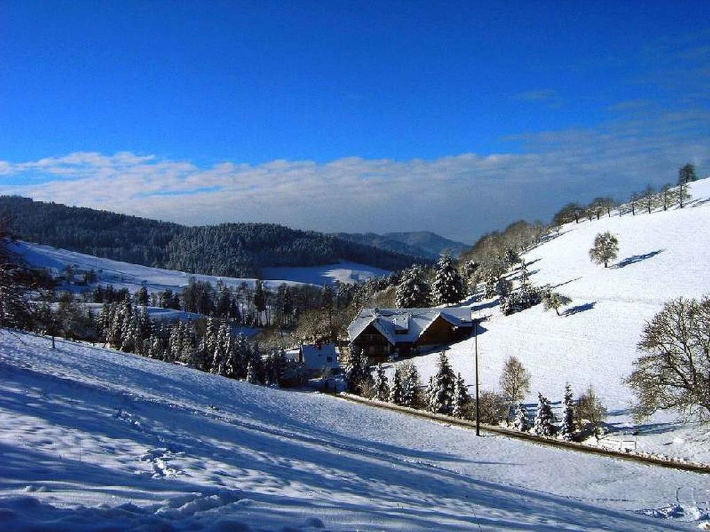 Unterer Gurethshof Zell am Harmersbach
