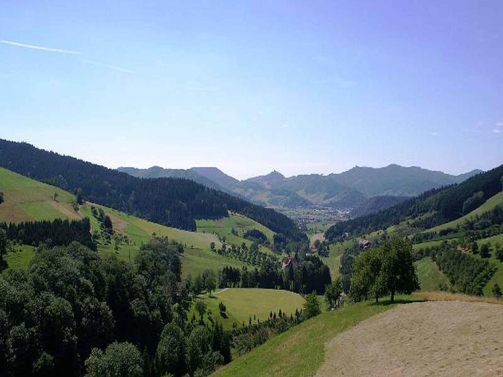 Apartment Unterer Gurethshof Zell am Harmersbach